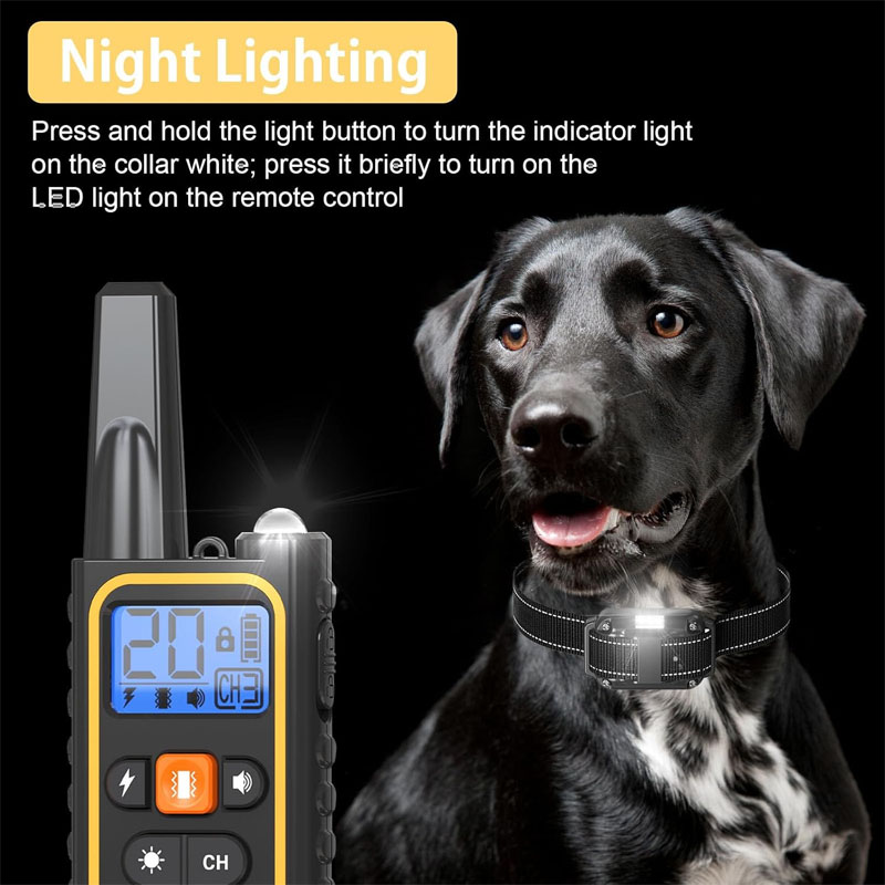 dog training collars
