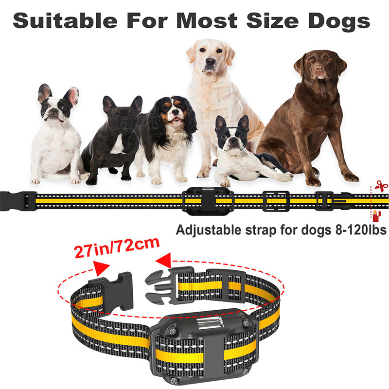 dog training collars
