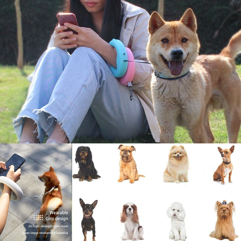 dog lead 