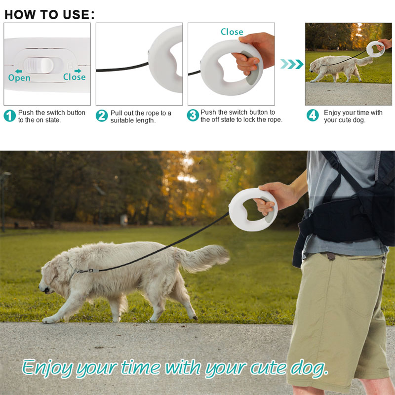 dog lead 