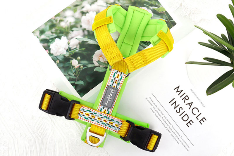 dog harness