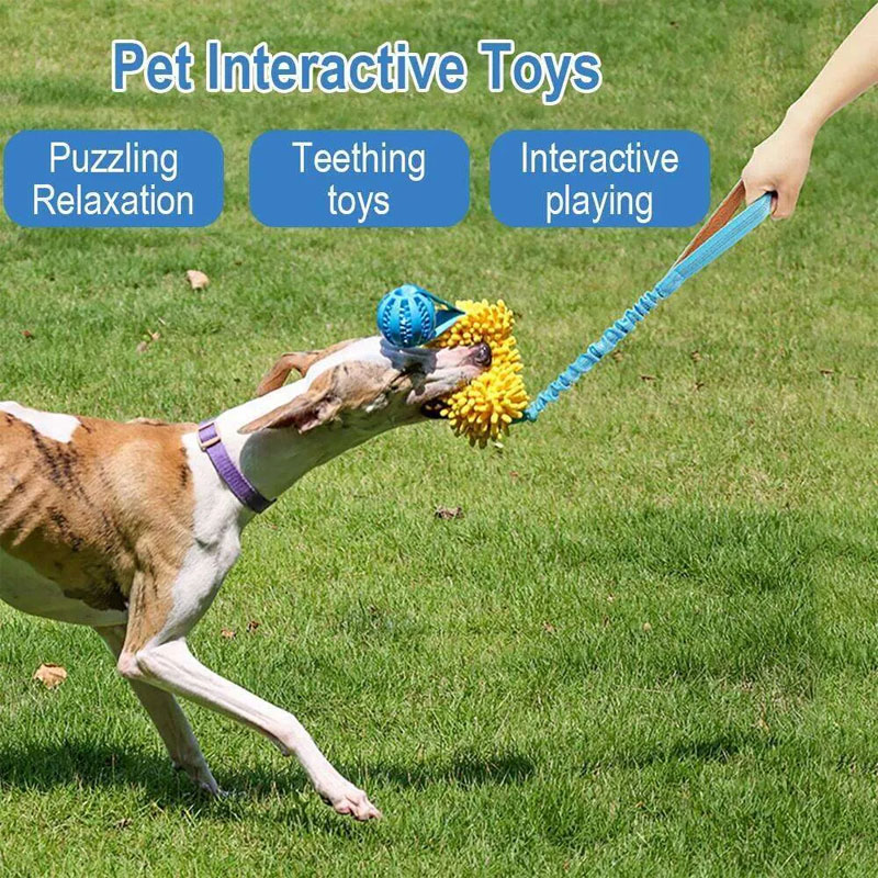 dog toys