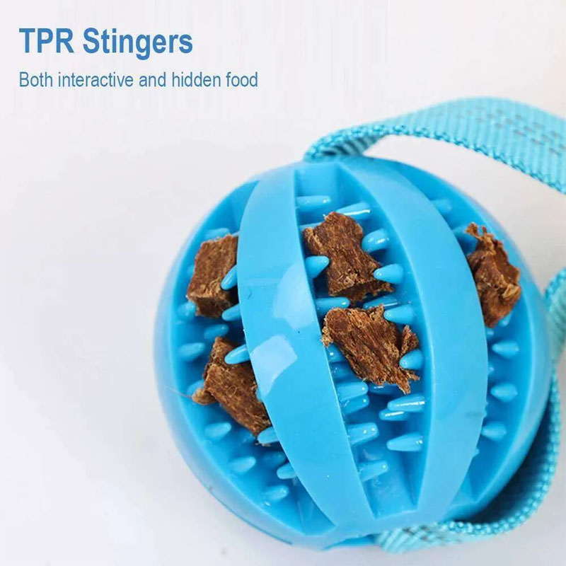 dog toys