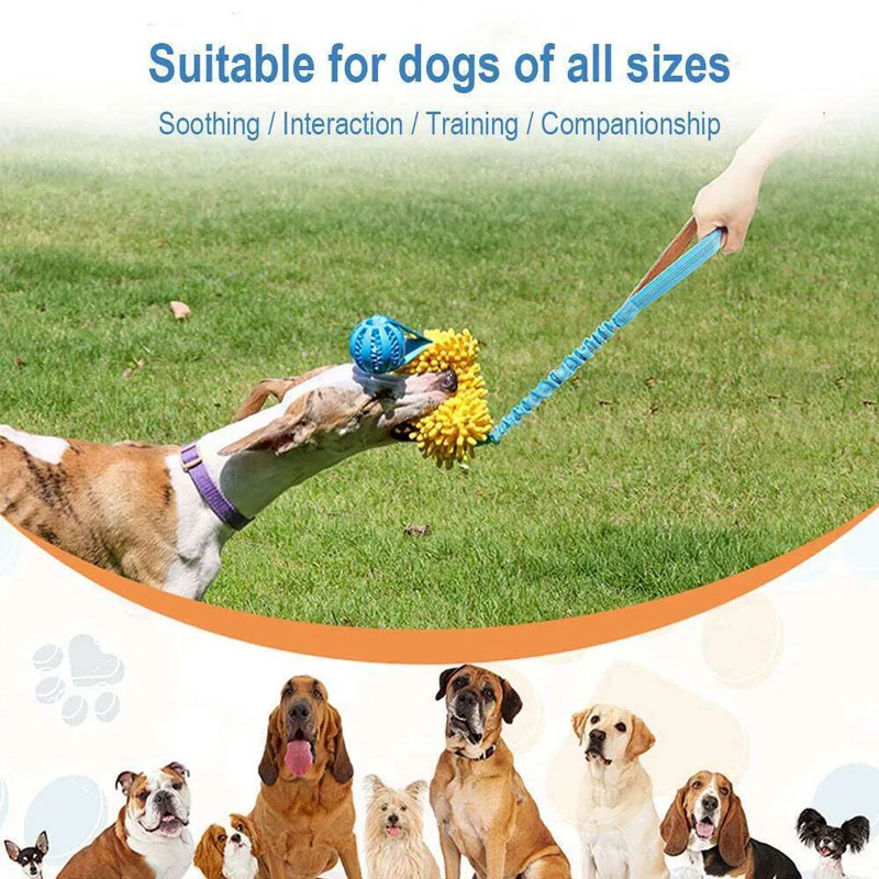 dog toys