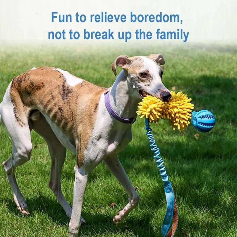 dog toys
