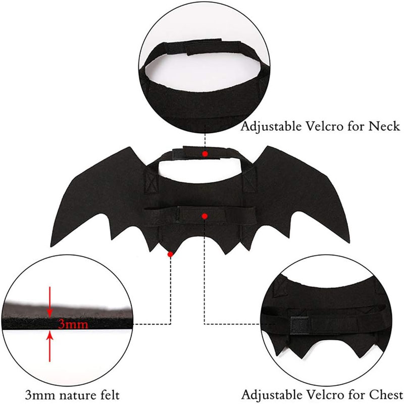 Pet Cat Bat Wings for Halloween Party