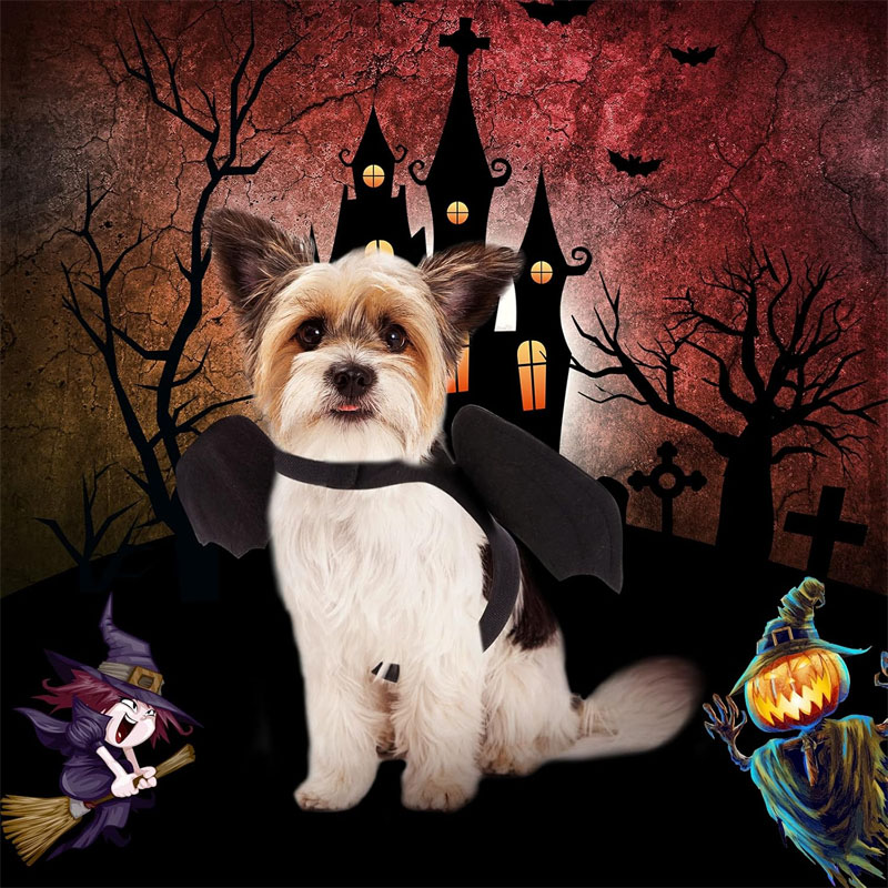 Pet Cat Bat Wings for Halloween Party