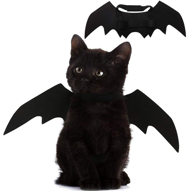 Pet Cat Bat Wings for Halloween Party