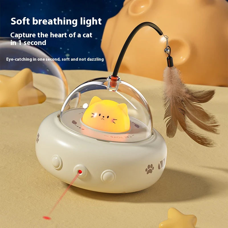 cat toys