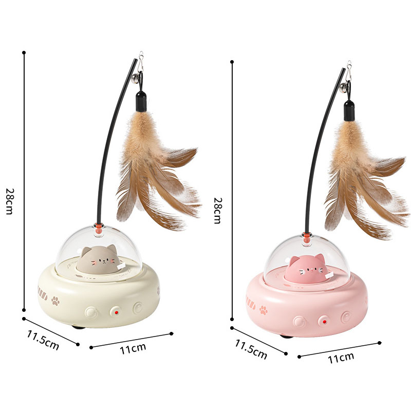 cat toys
