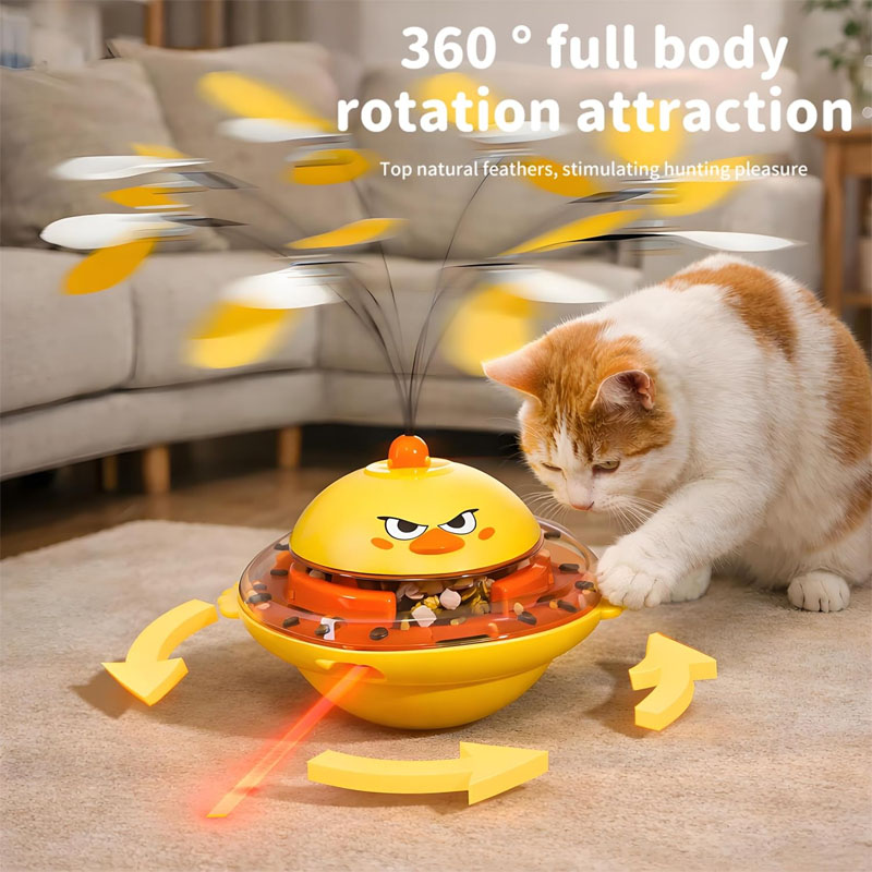 cat toys