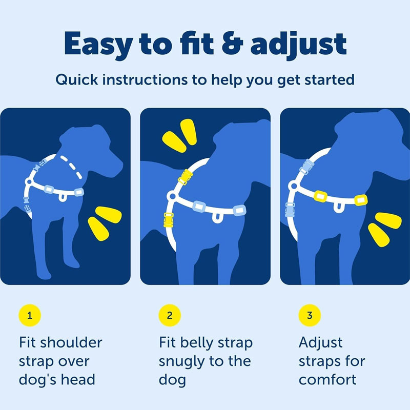 Dog Harness