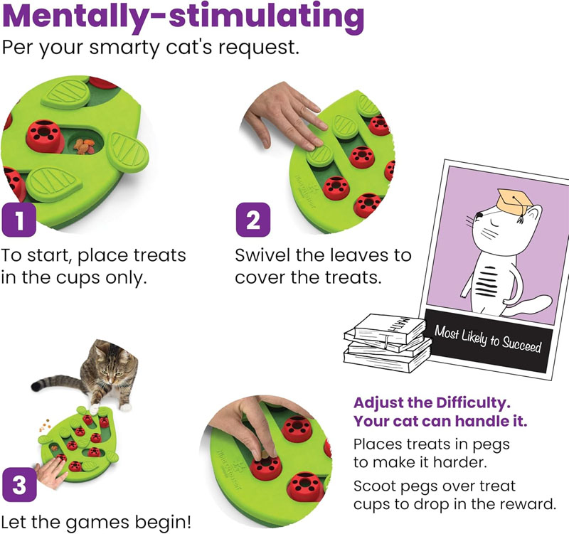 cat puzzle feeder