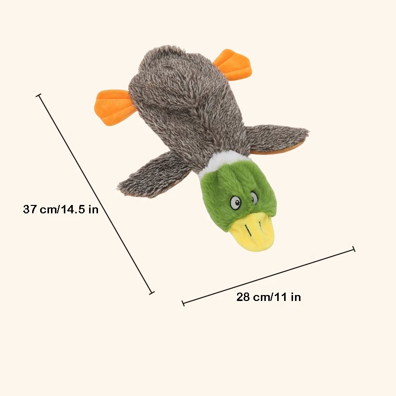 dog toy