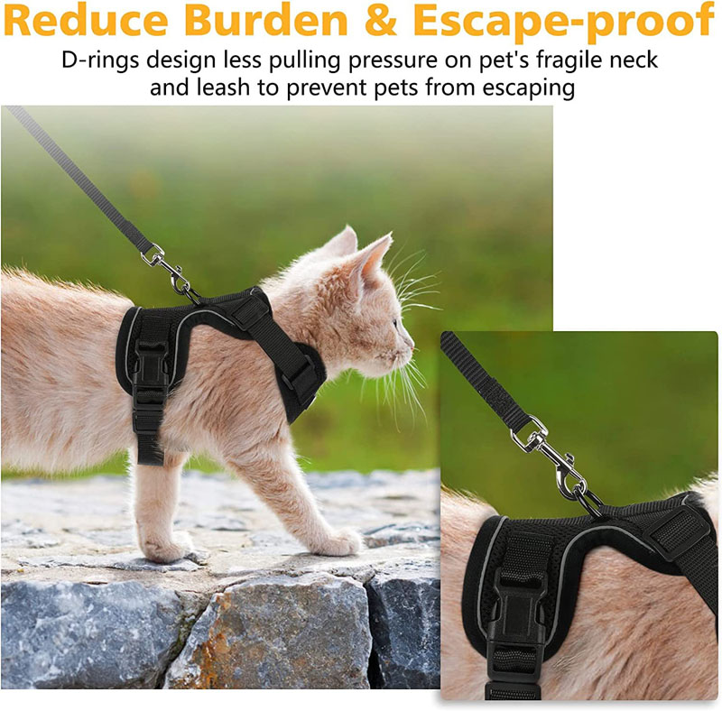 cat harness and leash