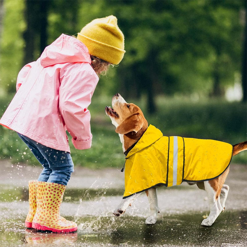 Dog Raincoat Jacket 
