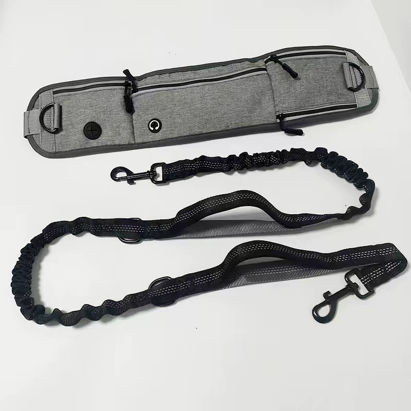 dog harness