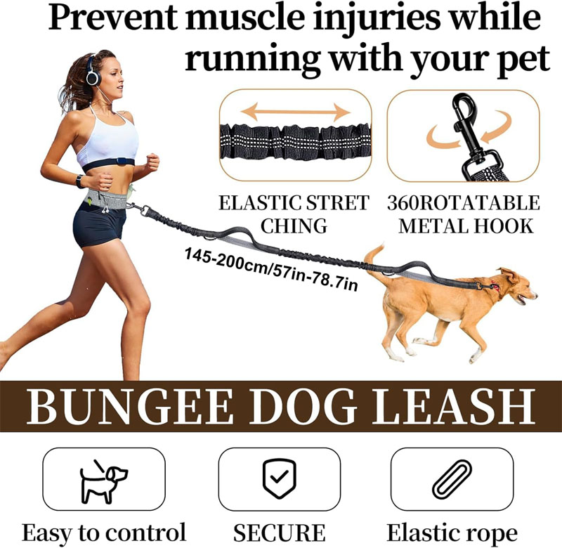 dog harness