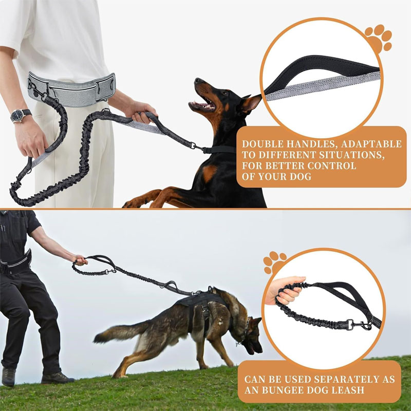 dog harness
