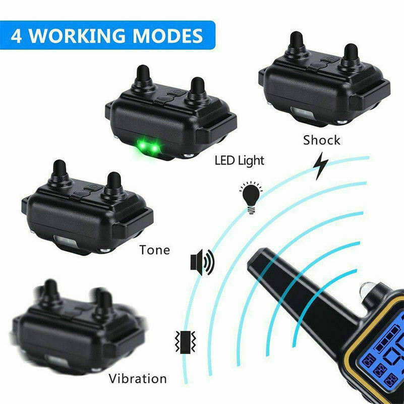 dog training collars