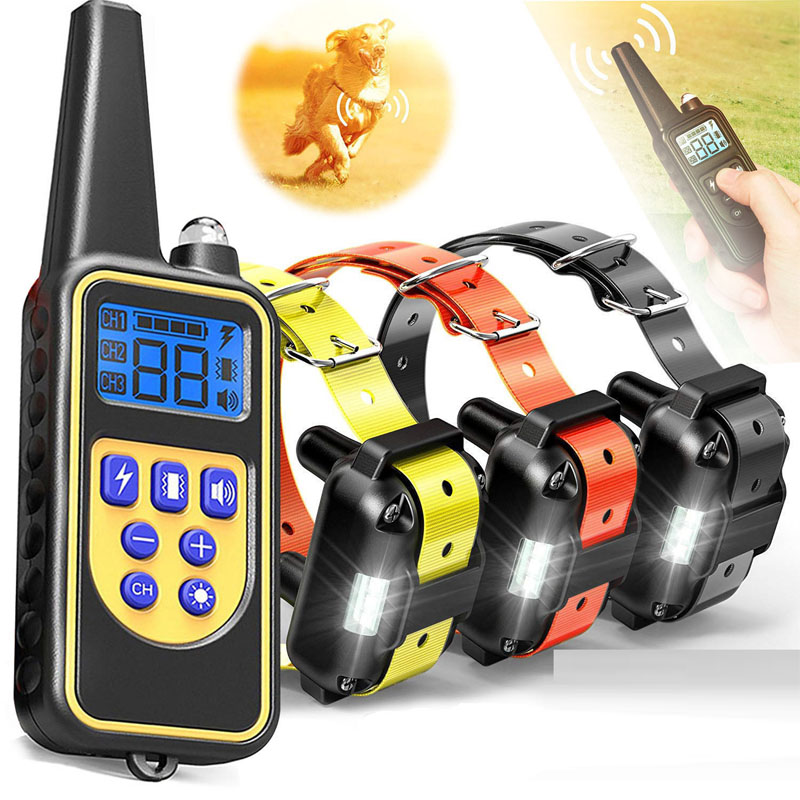 dog training collars