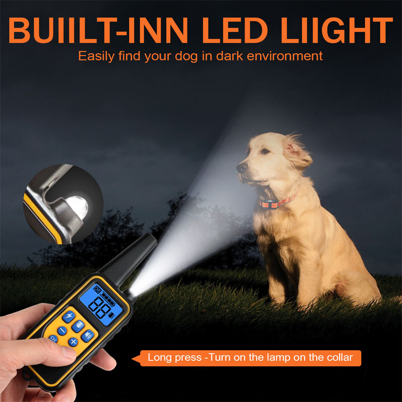 dog training collars