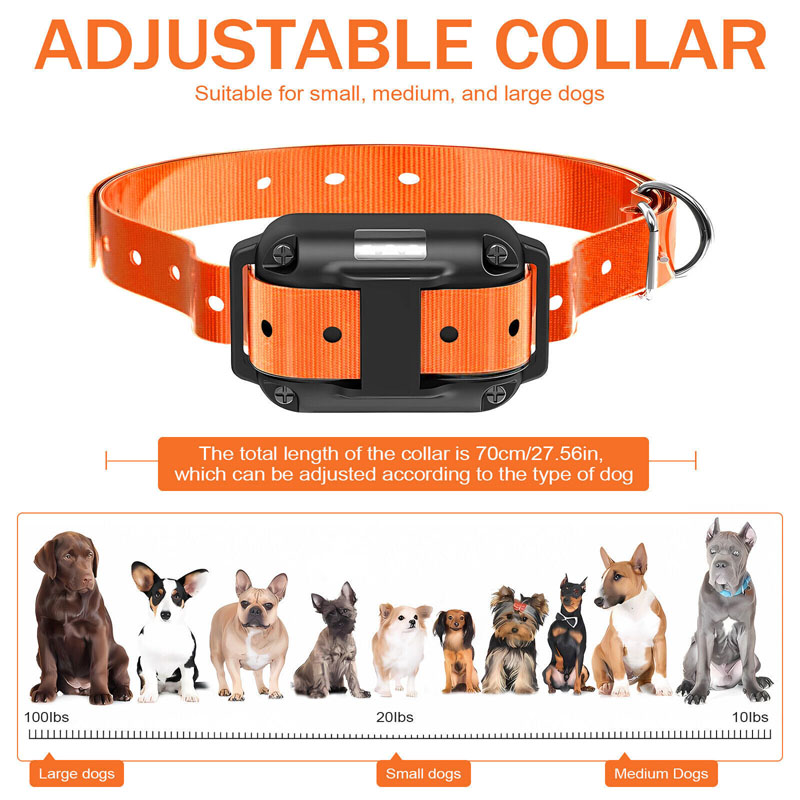 dog training collars