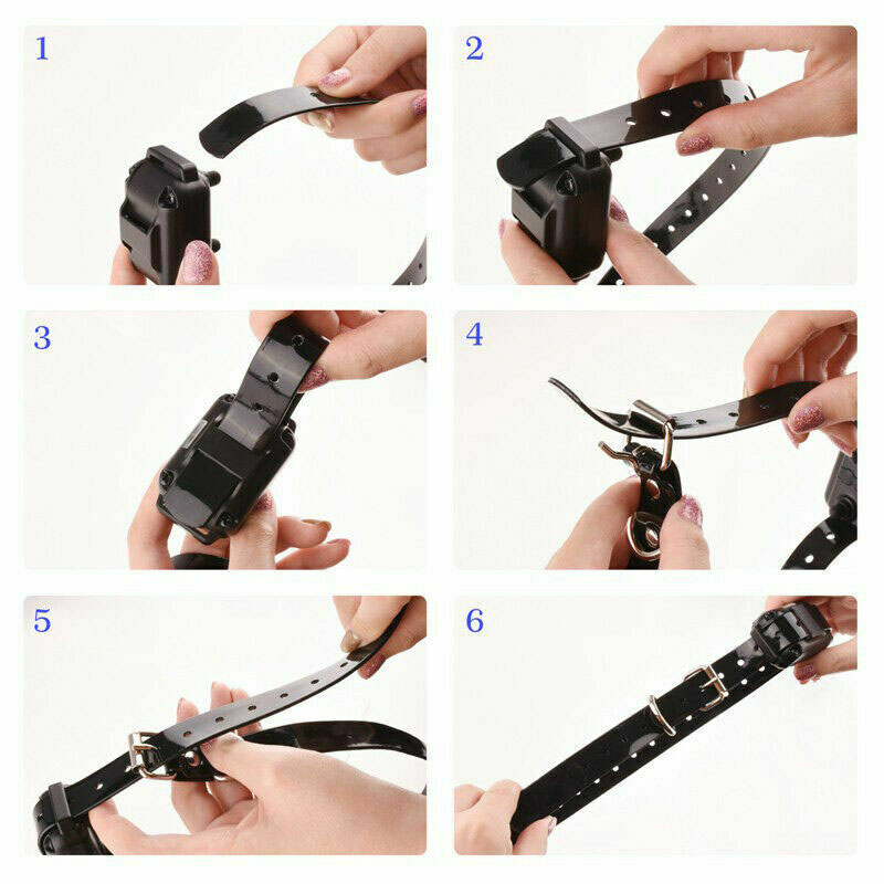 dog training collars