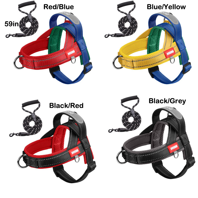 dog toys