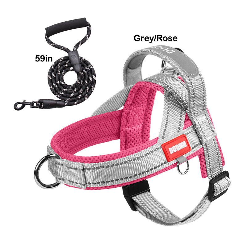 dog toys