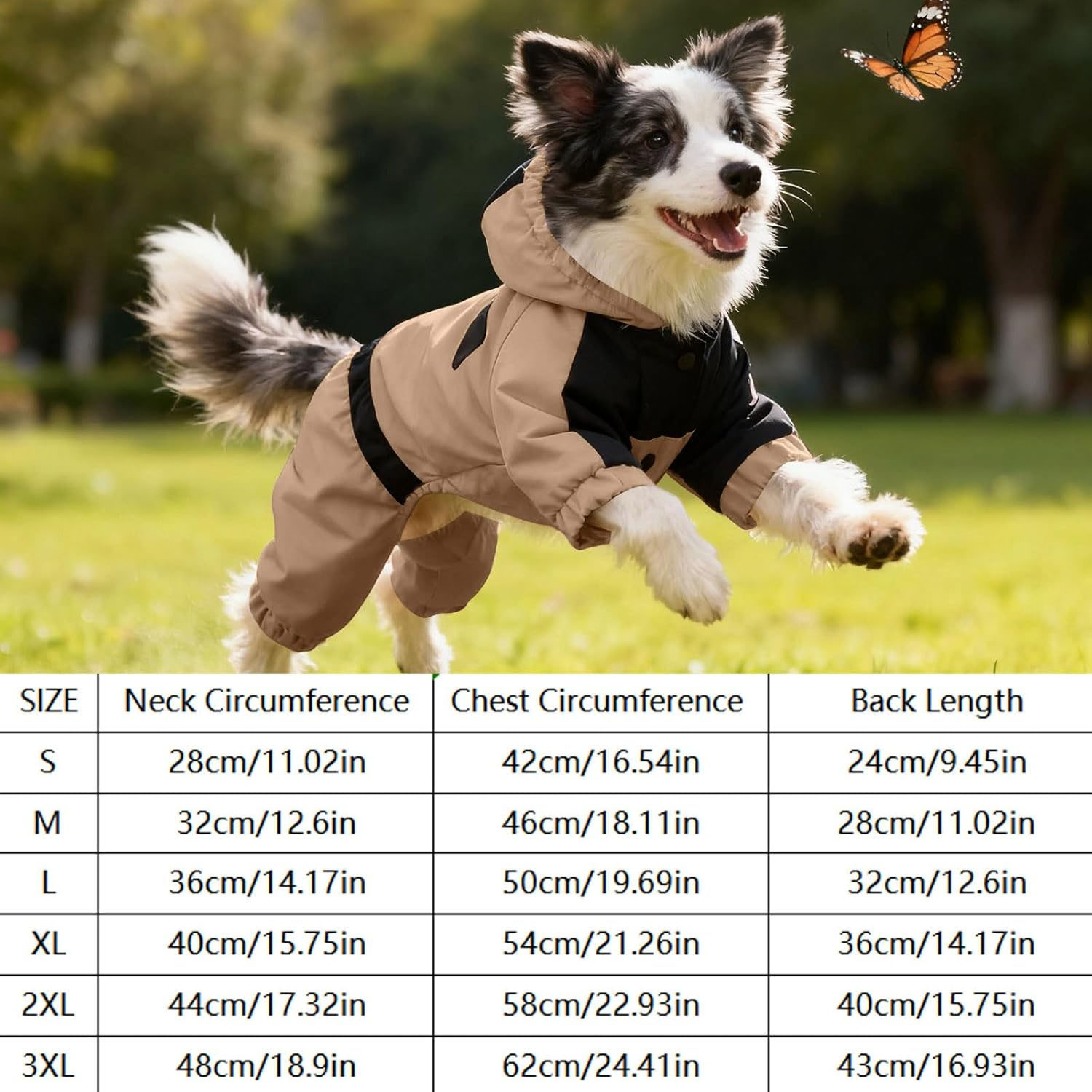 dog coats