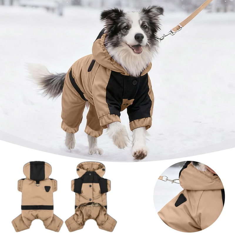 dog coats