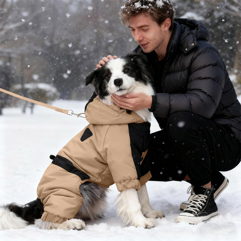 dog coats