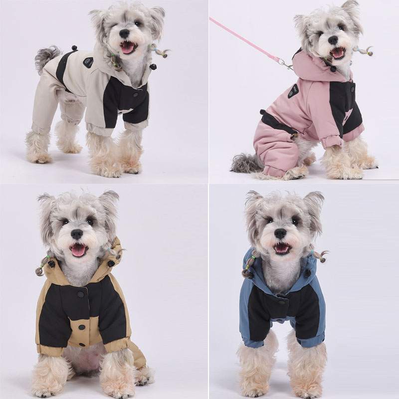 dog coats