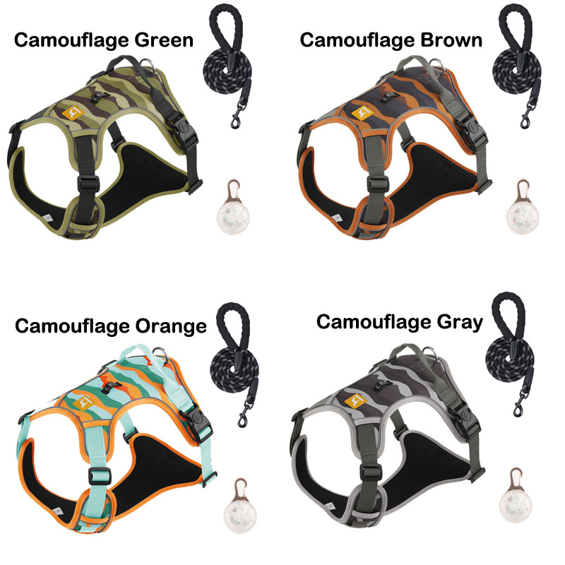 dog coats