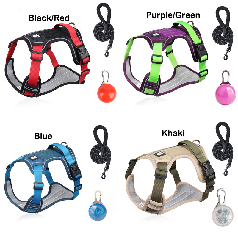 dog coats