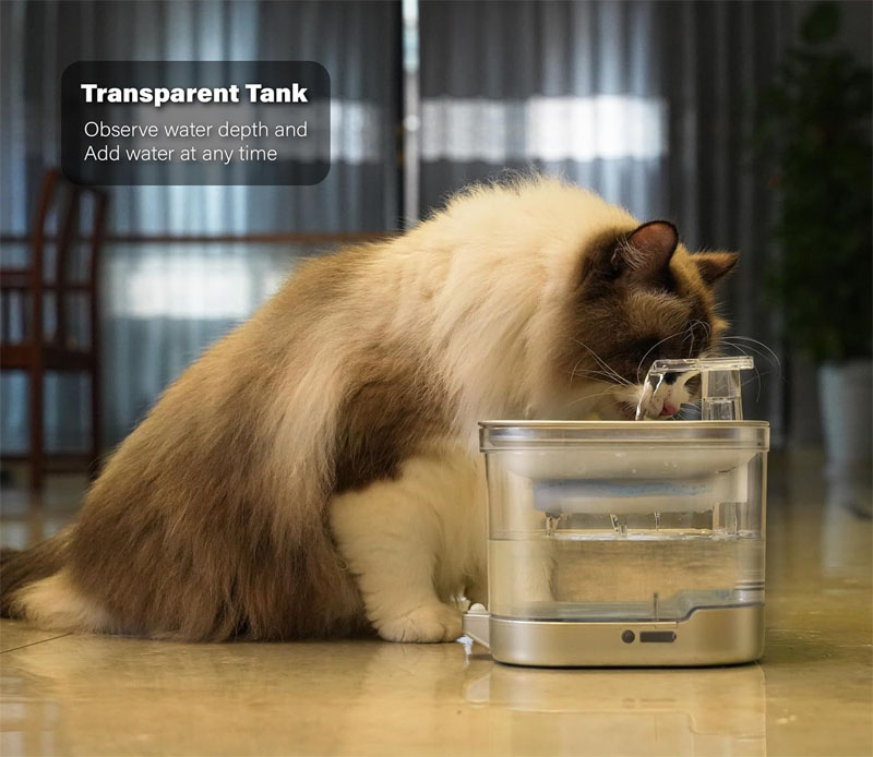 cat water fountains
