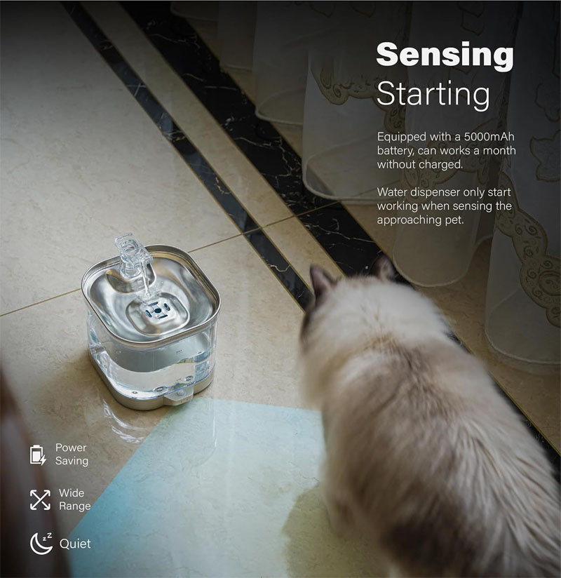 cat water fountains