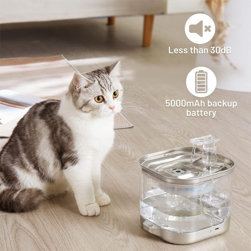 cat water fountains