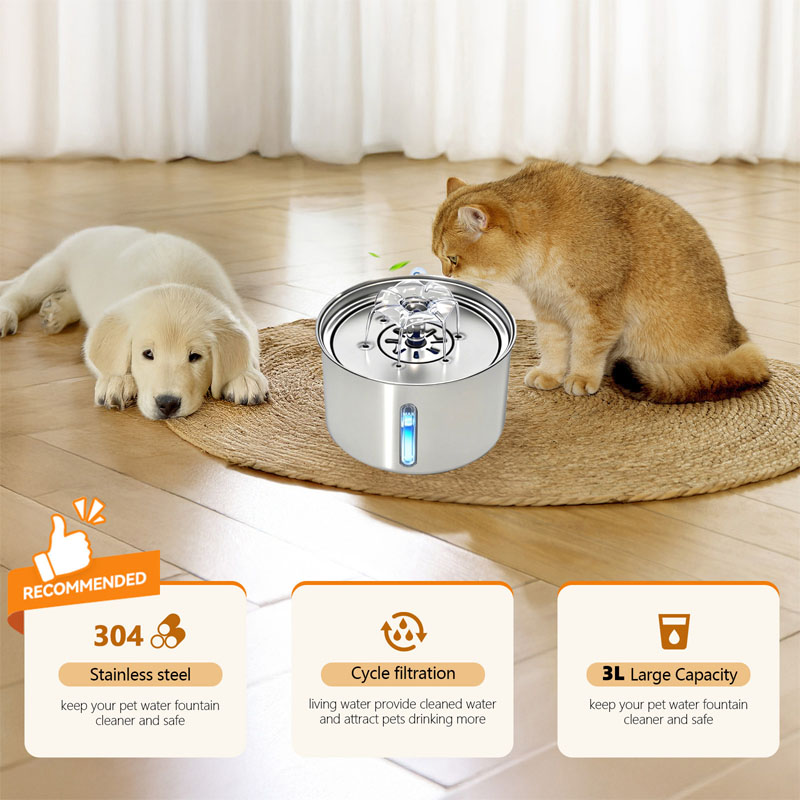cat water fountains