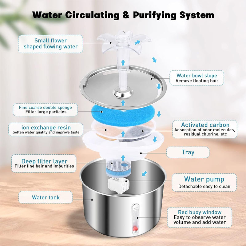 cat water fountains