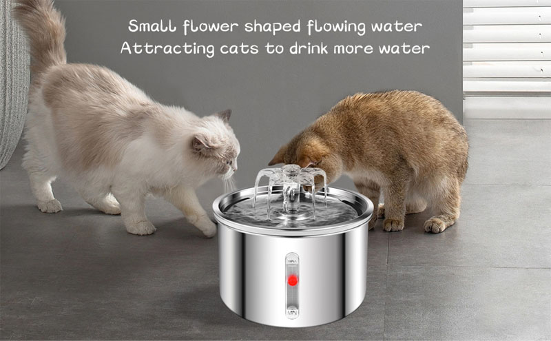 cat water fountains