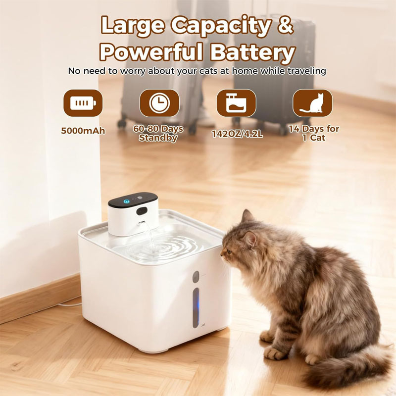 cat drinking fountain