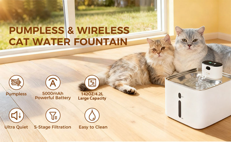 cat drinking fountain