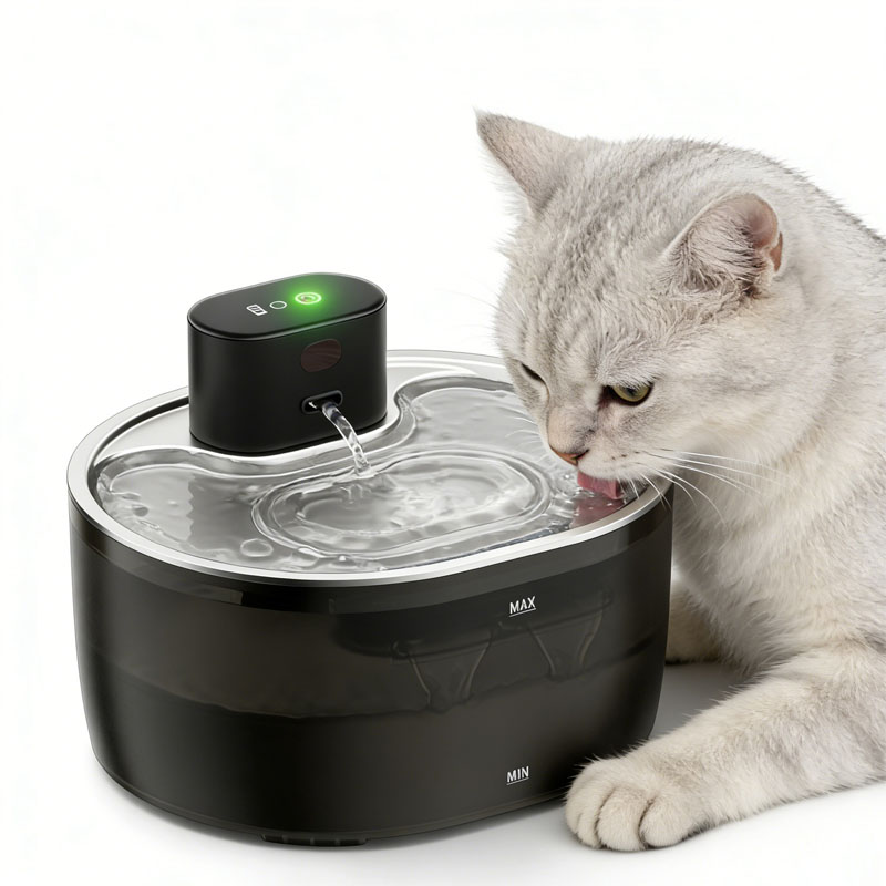 cat drinking fountain