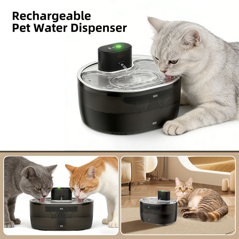 cat drinking fountain